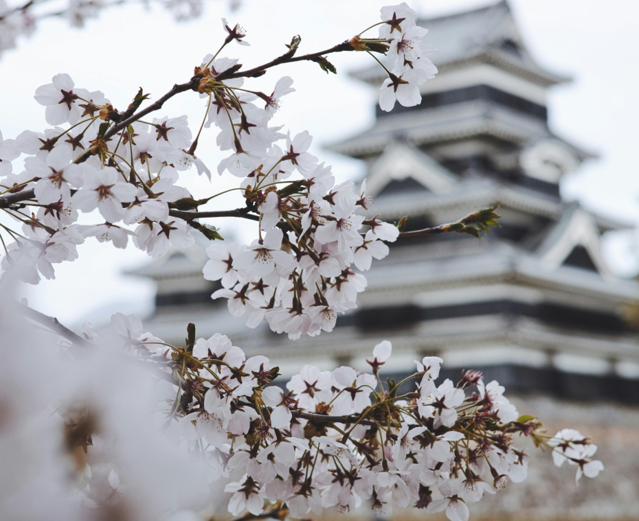 destination single image