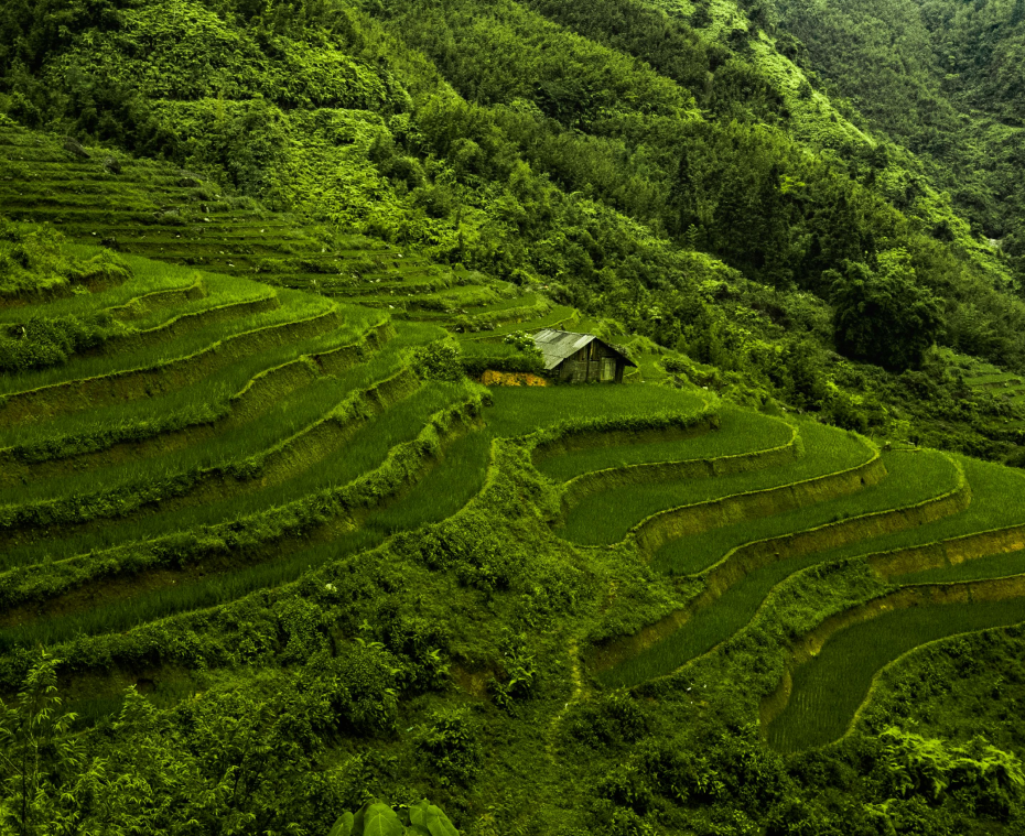 destination single image